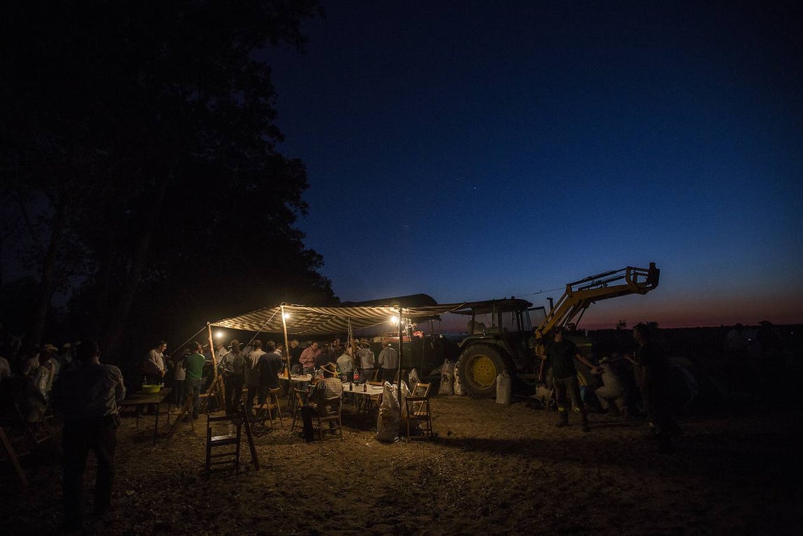 La Saca de las Yeguas en 2015