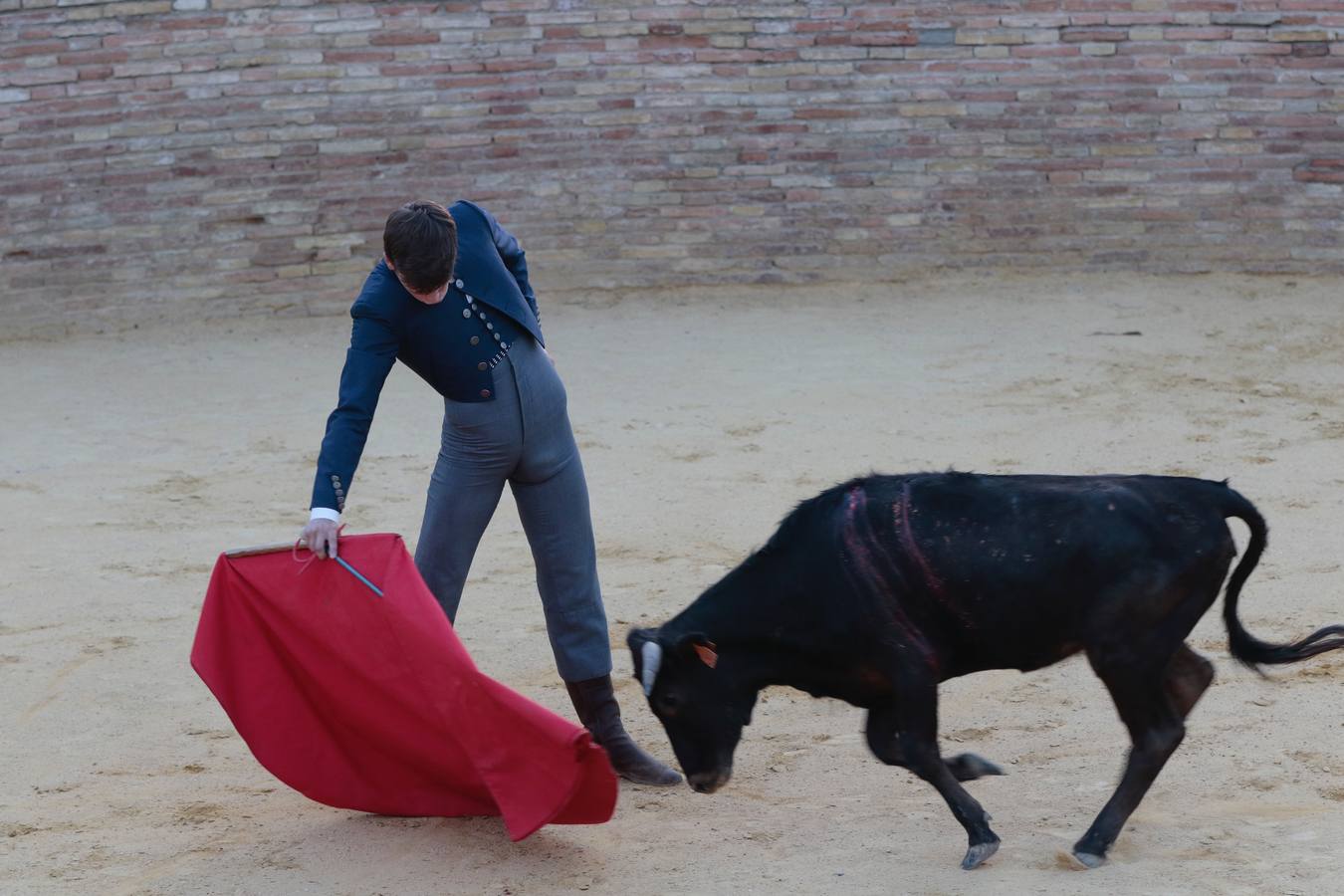 Homenaje a Pepe Luis Vázquez