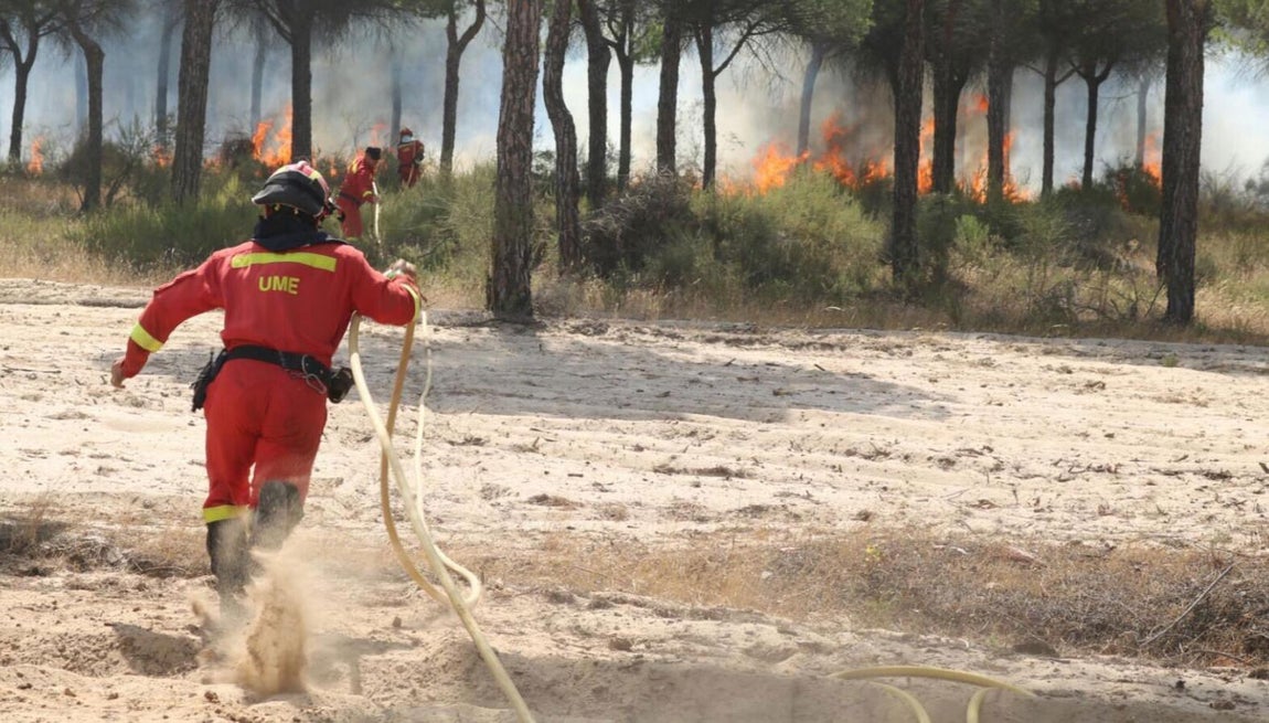 Más de 260 efectivos por tierra, del Infoca y de la Unidad Militar de Emergencias (UME), con más de dos decenas de vehículos terrestres están trabajando para sofocar el incendio. 