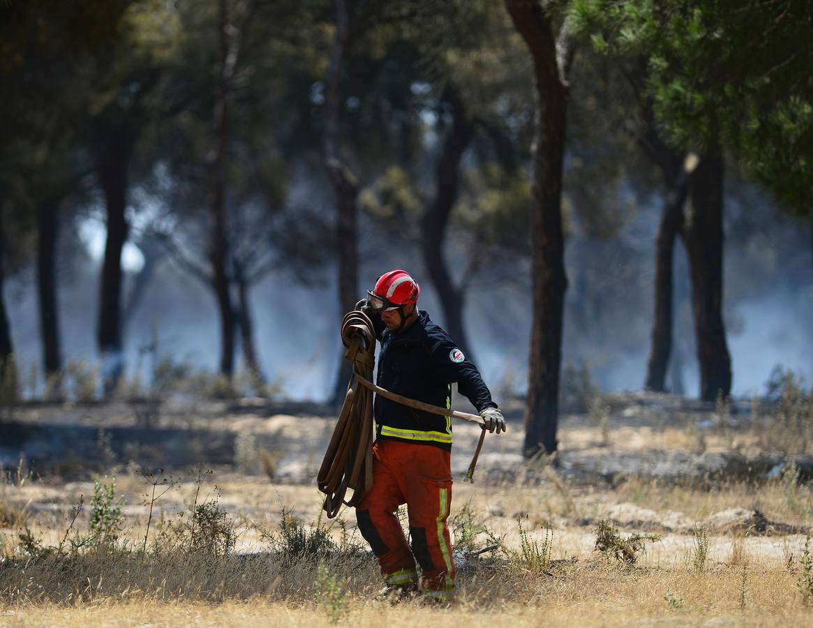 Las labores de extinción y lucha contra el incendio de Doñana, en imágenes