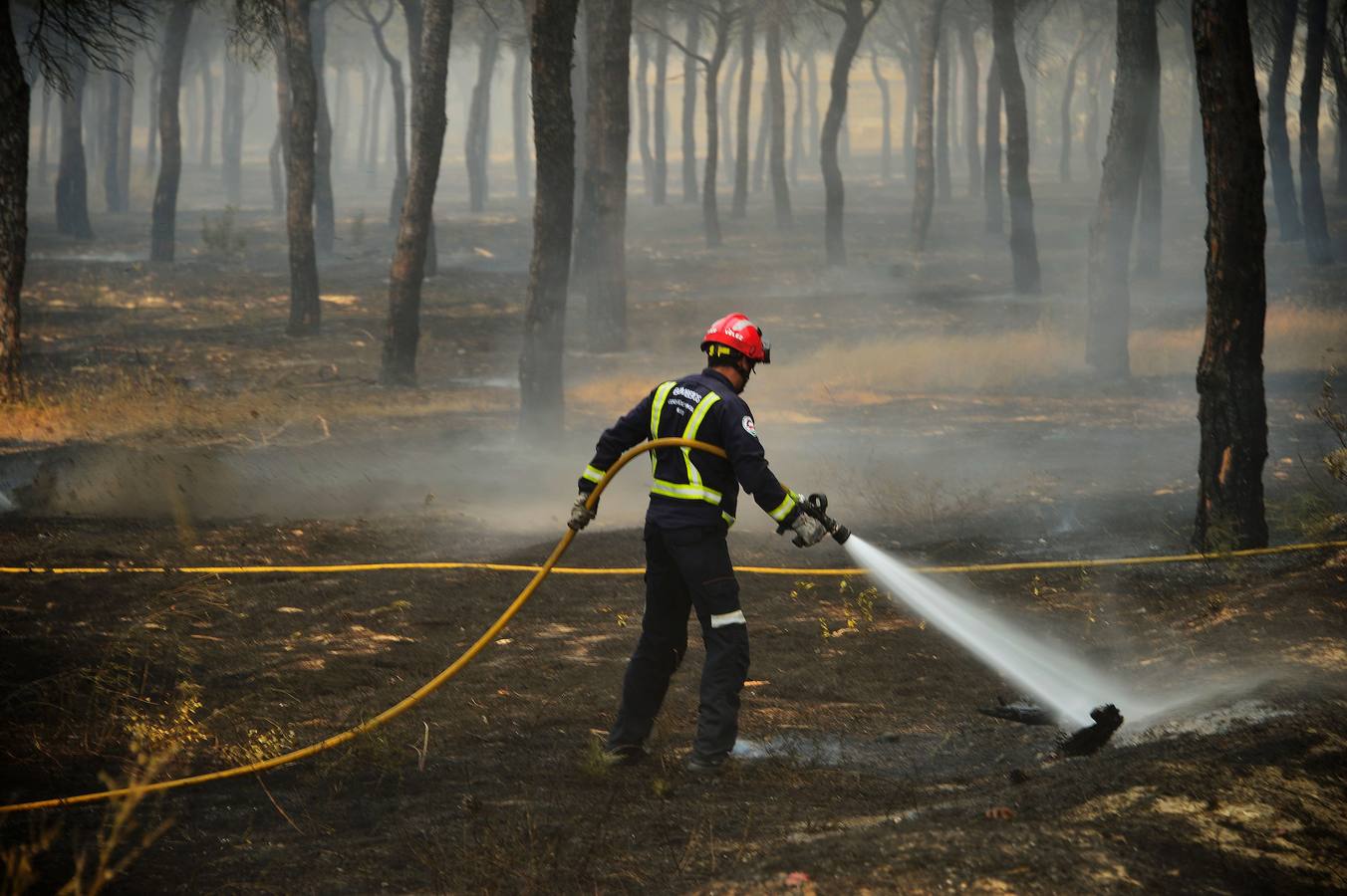 Las labores de extinción y lucha contra el incendio de Doñana, en imágenes