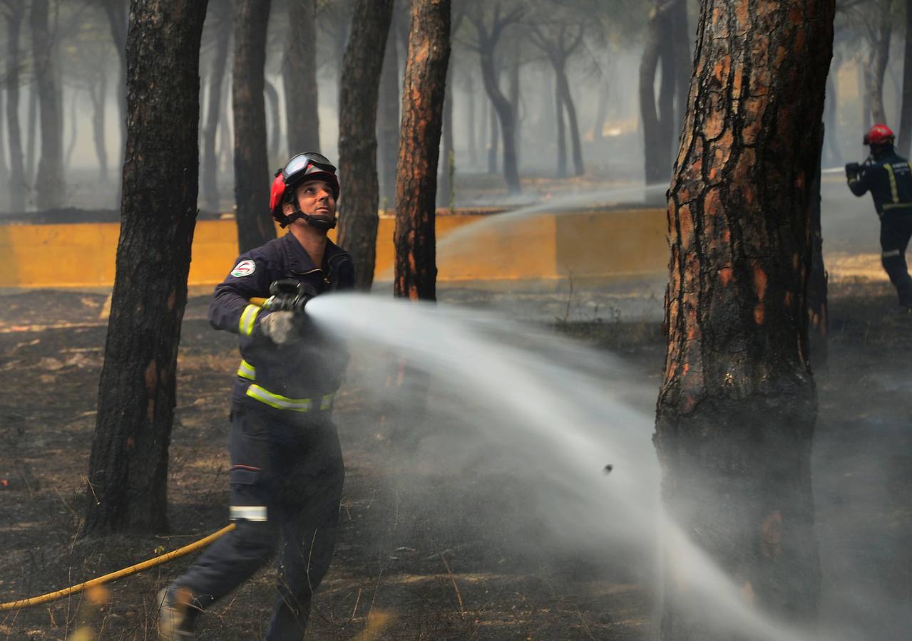 Las labores de extinción y lucha contra el incendio de Doñana, en imágenes