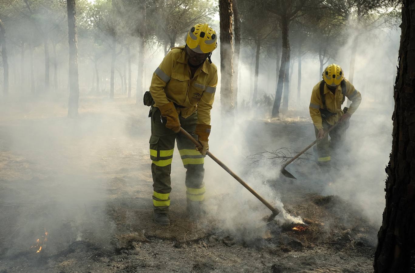 Las labores de extinción y lucha contra el incendio de Doñana, en imágenes