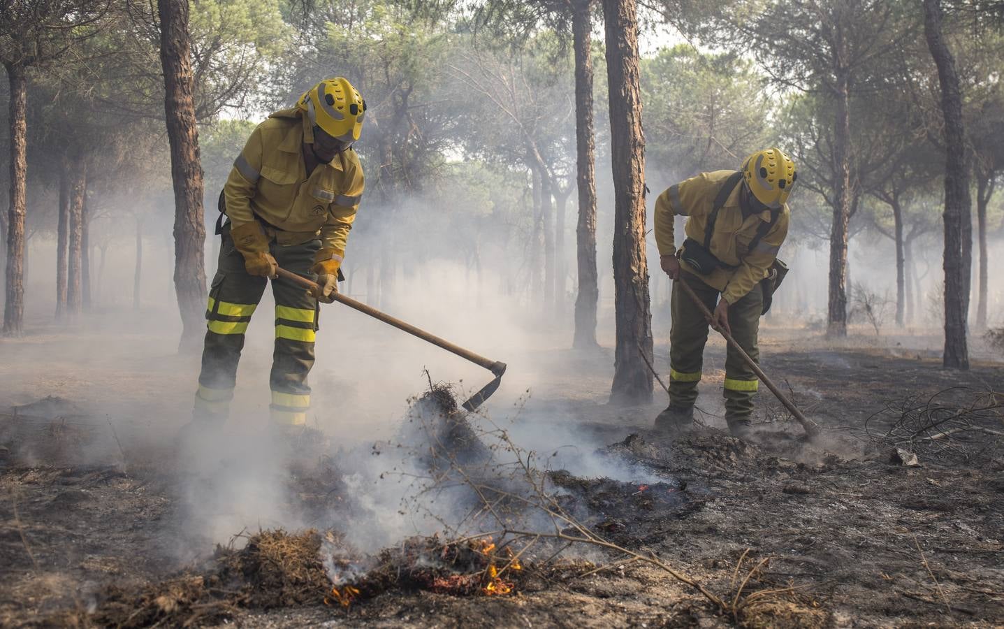 Las labores de extinción y lucha contra el incendio de Doñana, en imágenes