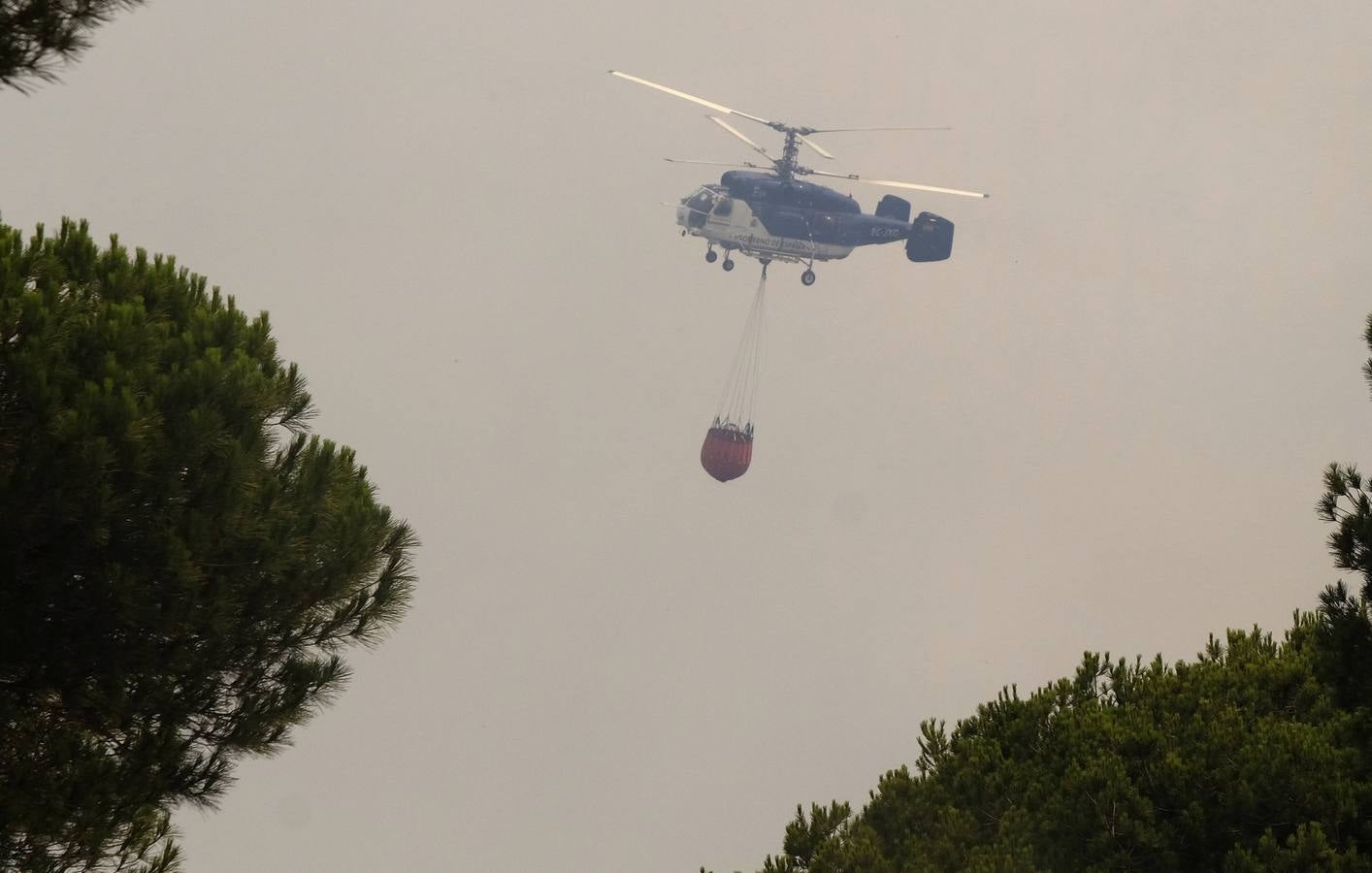 Las labores de extinción y lucha contra el incendio de Doñana, en imágenes