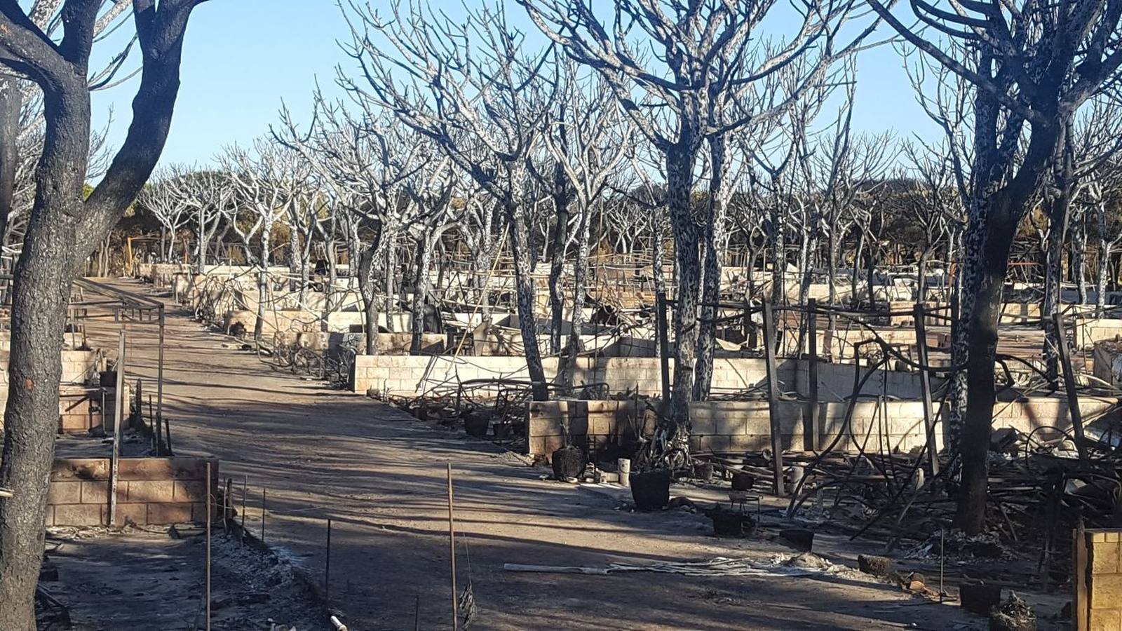 Así ha quedado el Camping Doñana tras el incendio originado en Moguer