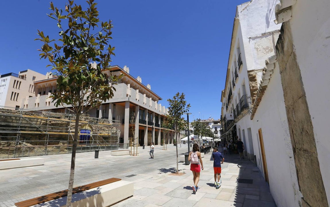 Recorrido visual por los árboles de Córdoba