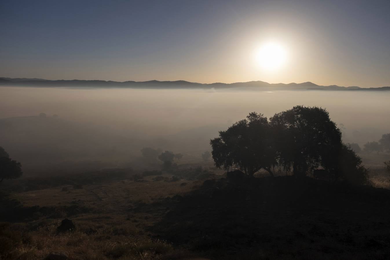 La existencia de una espesa nube de humo sobre el perímetro del incendio declarado ayer en el barrio de Bellavista, en Minas de Riotinto (Huelva), está dificultando la incorporación de los primeros medios aéreos a la extinción del fuego