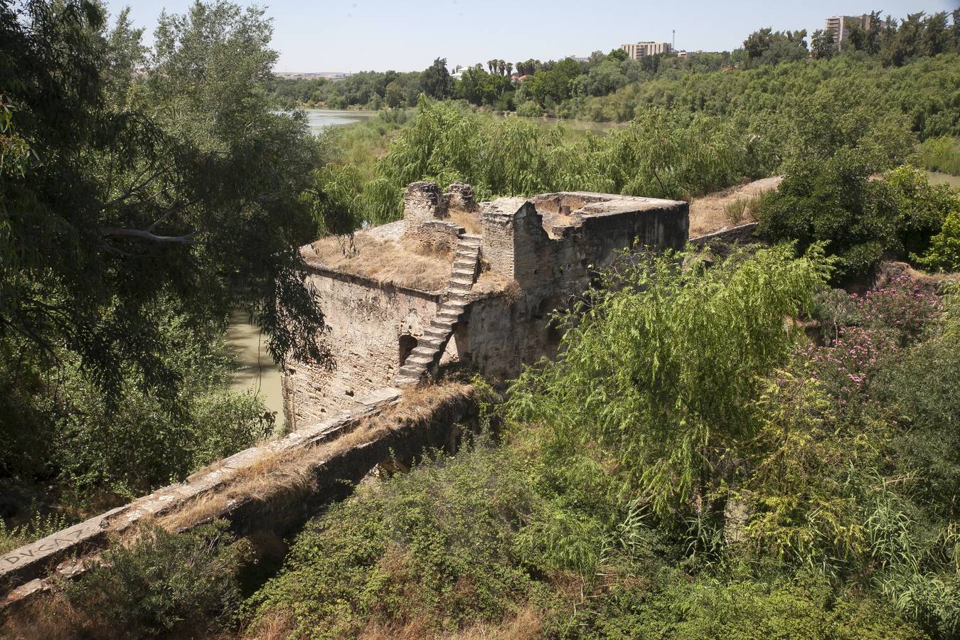 Un paseo en imágenes por los molinos de Córdoba