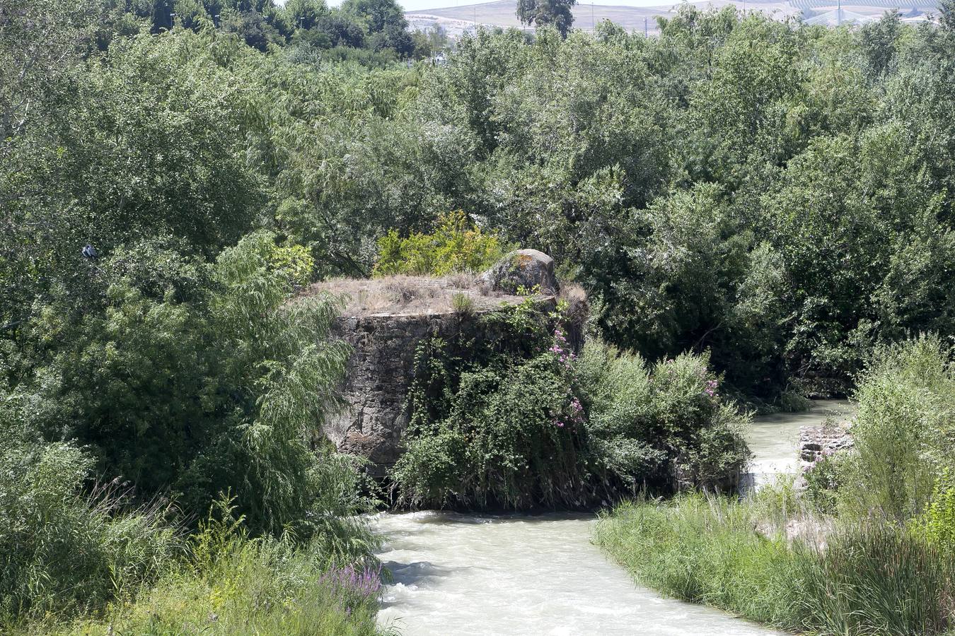 Un paseo en imágenes por los molinos de Córdoba