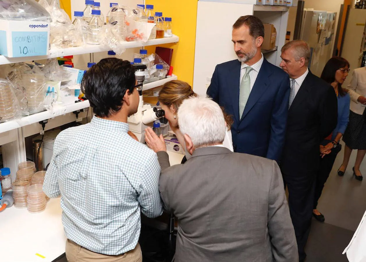 Los Reyes Felipe y Letizia visitan los laboratorios de genómica regulatoria y del ciclo celular del Instituto de Investigación Biomédica Francis Crick de Londres, en la última jornada de su visita oficial al Reino Unido. Efe