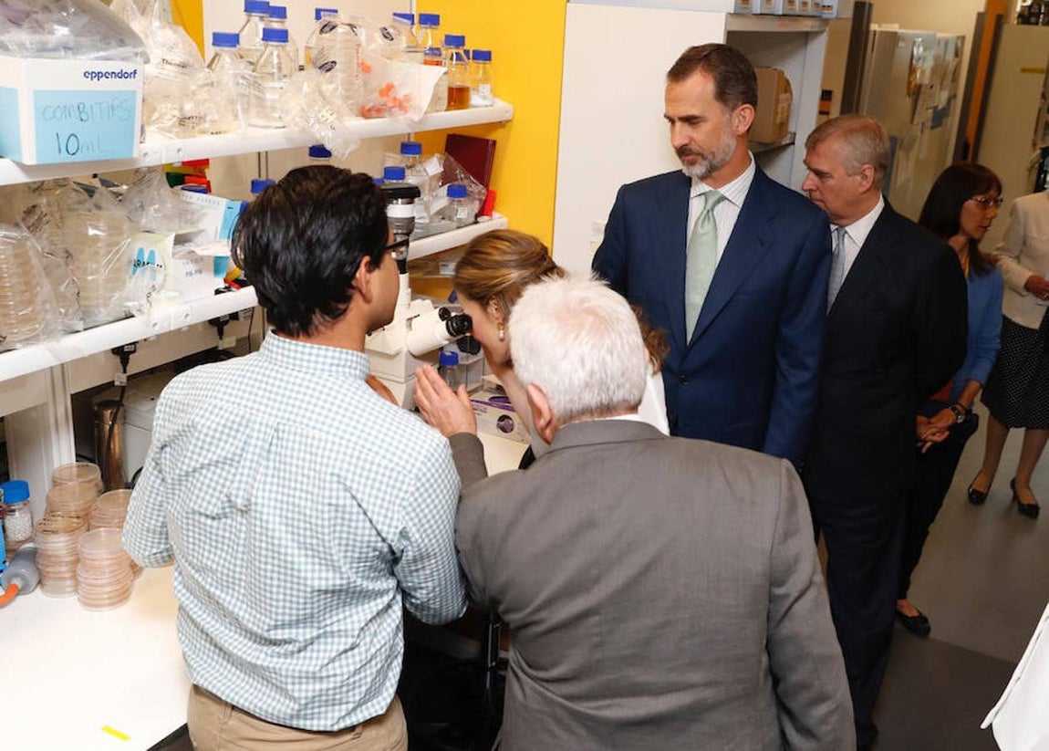 Los Reyes Felipe y Letizia visitan los laboratorios de genómica regulatoria y del ciclo celular del Instituto de Investigación Biomédica Francis Crick de Londres, en la última jornada de su visita oficial al Reino Unido. Efe