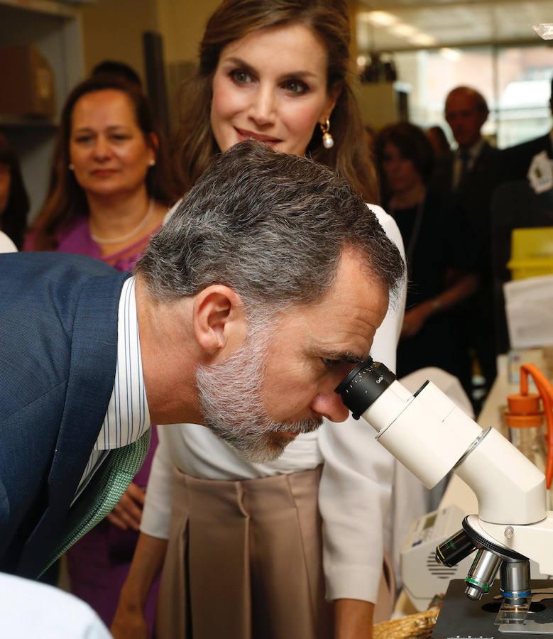 Los Reyes Felipe y Letizia visitan los laboratorios de genómica regulatoria y del ciclo celular del Instituto de Investigación Biomédica Francis Crick de Londres, en la última jornada de su visita oficial al Reino Unido. Efe