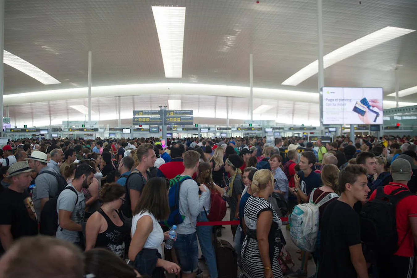 Estas largas colas, que han desbordado el espacio central de la terminal e incluso han llegado a serpentear sobre sí mismas, han provocado muchos nervios e indignación entre los pasajeros