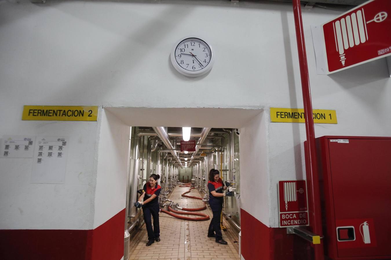 Una visita a la fábrica de Mahou San Miguel en Córdoba