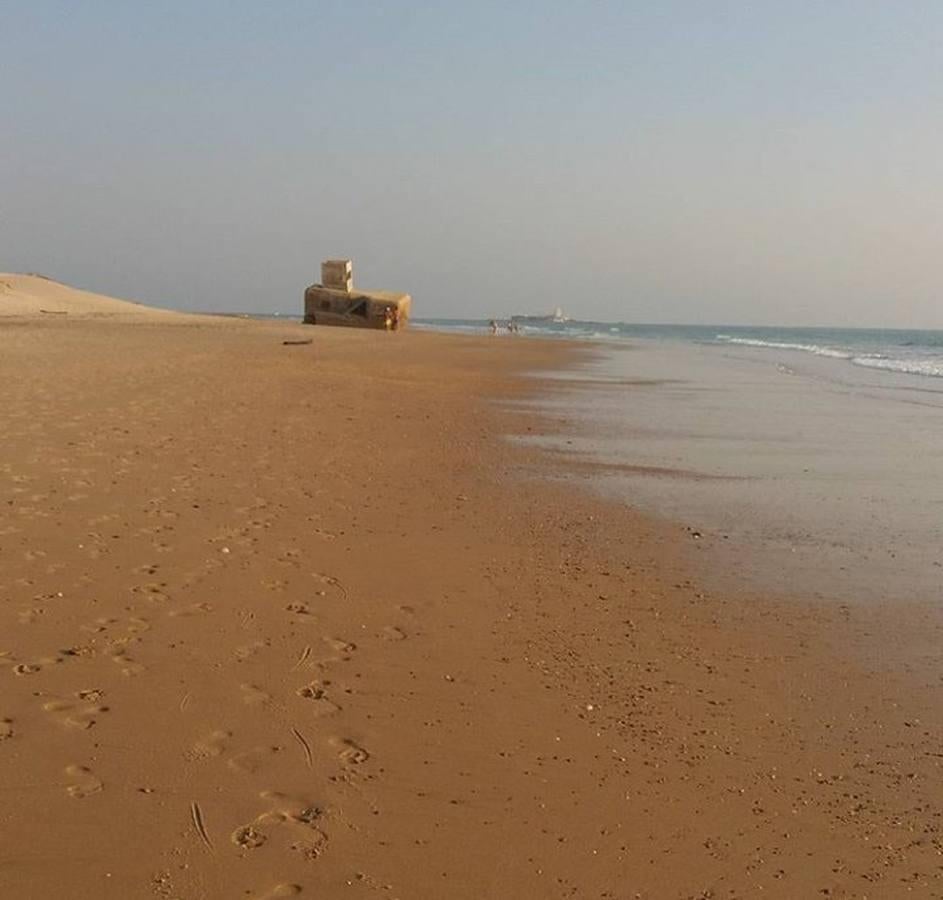 @Carmensfdo | Camposoto. 