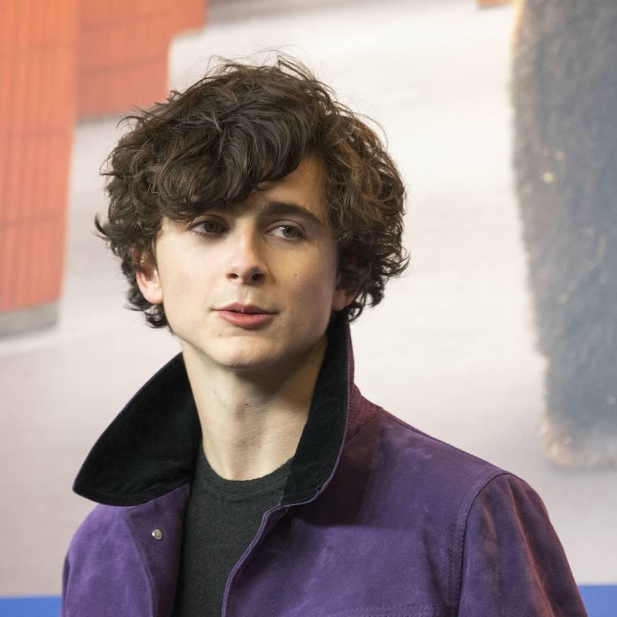 Timothée Chalamet. Este 2017 protagoniza la nueva película de Luca Guadagnino, «Call me by your name», junto a Armie Hammer. No es su único estreno anticipado al formar parte de «Lady bird», la primera película dirigida en solitario por Greta Gerwig. También protagonizará ya en 2018 la nueva película de Woody Allen (la número 50) junto a Selena Gómez y Elle Fanning.