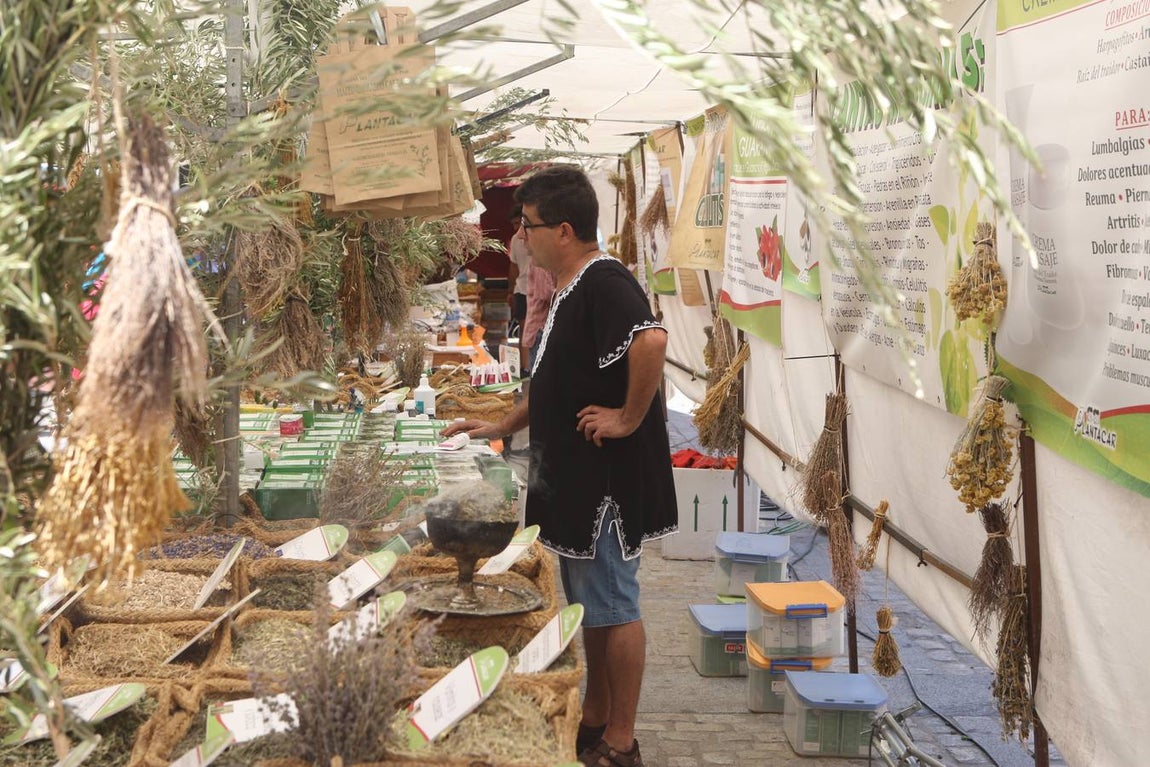 El Mercado Andalusí llega al Pópulo con más puestos y actividades