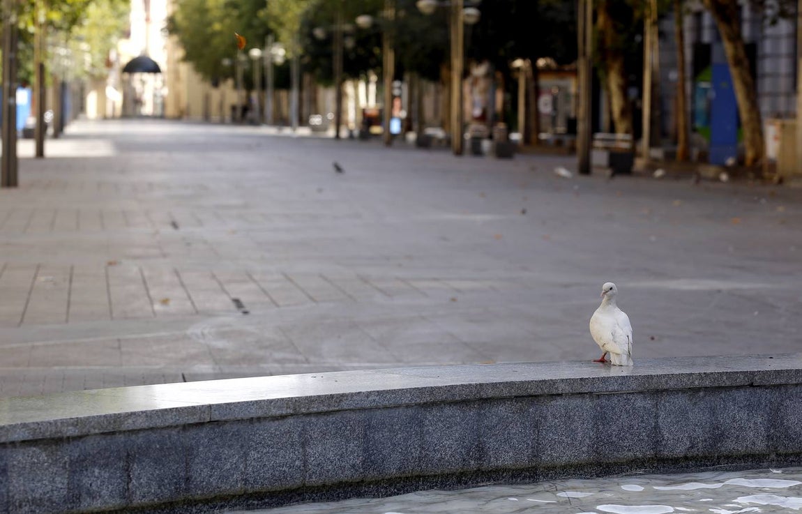 El «desierto» del agosto en Córdoba, en imágenes
