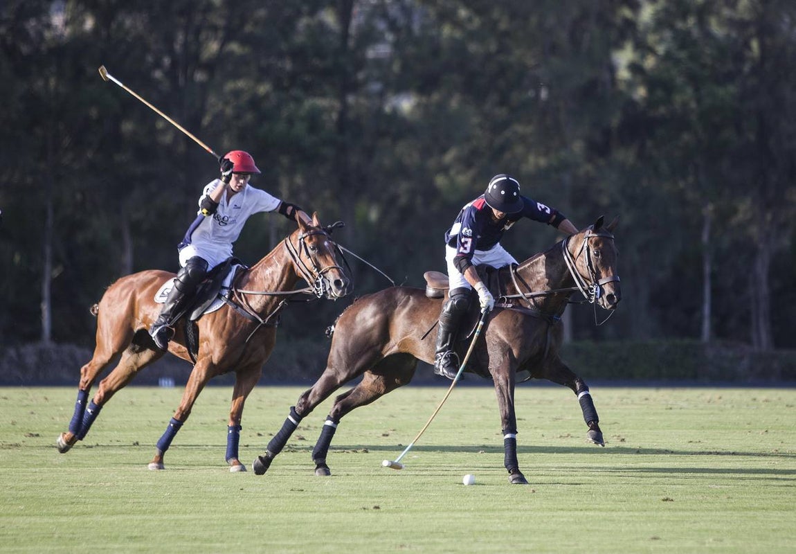Las mejores imágenes del Torneo de Polo en el Santa María Club