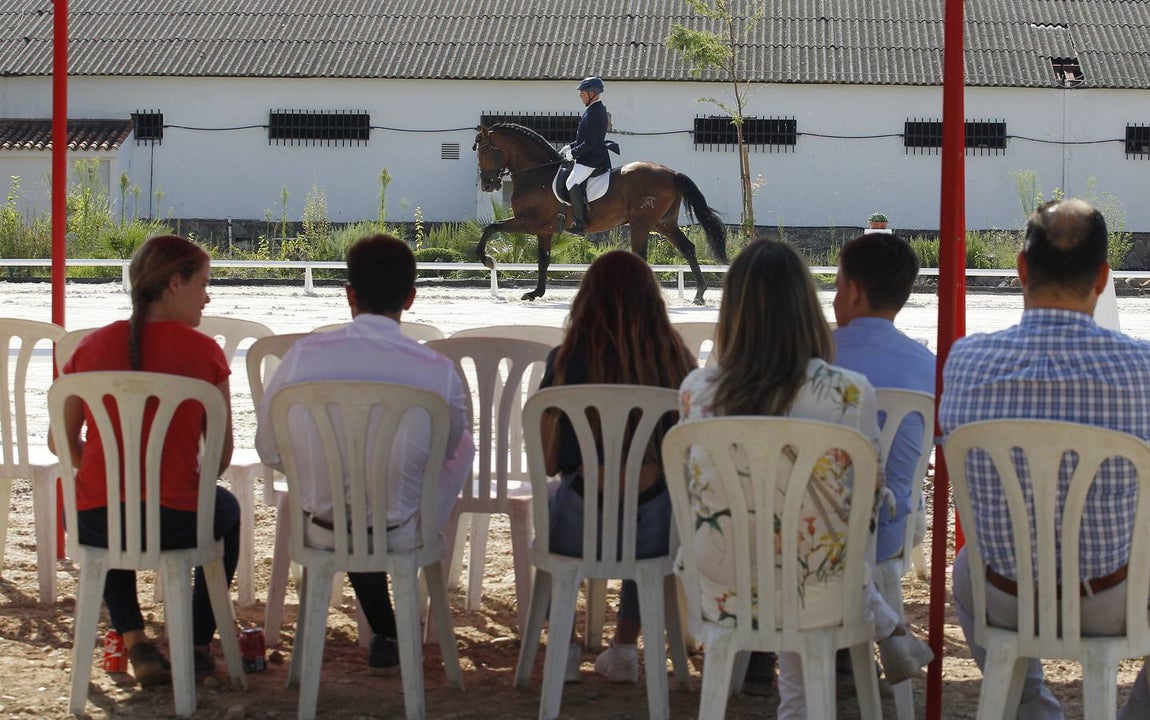 El primer día del Concurso Nacional de Doma Clásica, en imágenes