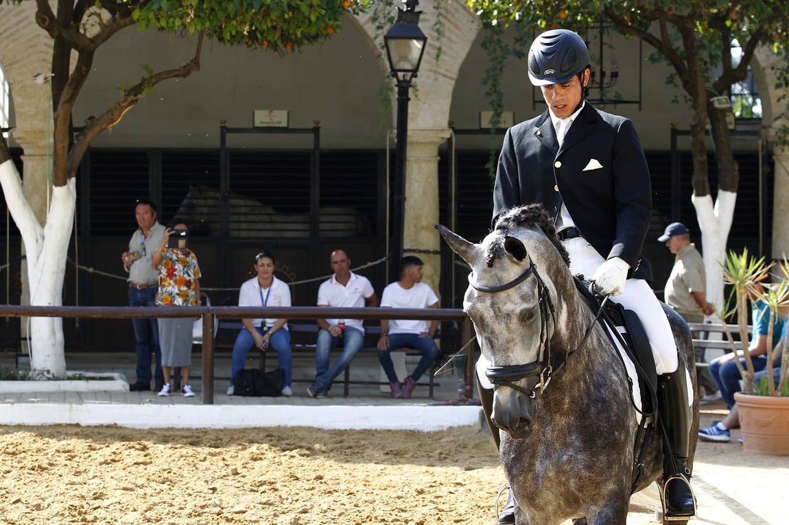 El primer día del Concurso Nacional de Doma Clásica, en imágenes