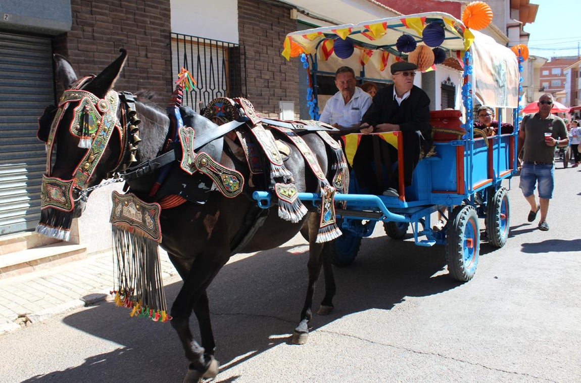 El «Día de Carros», en imágenes
