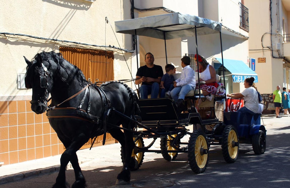 El «Día de Carros», en imágenes