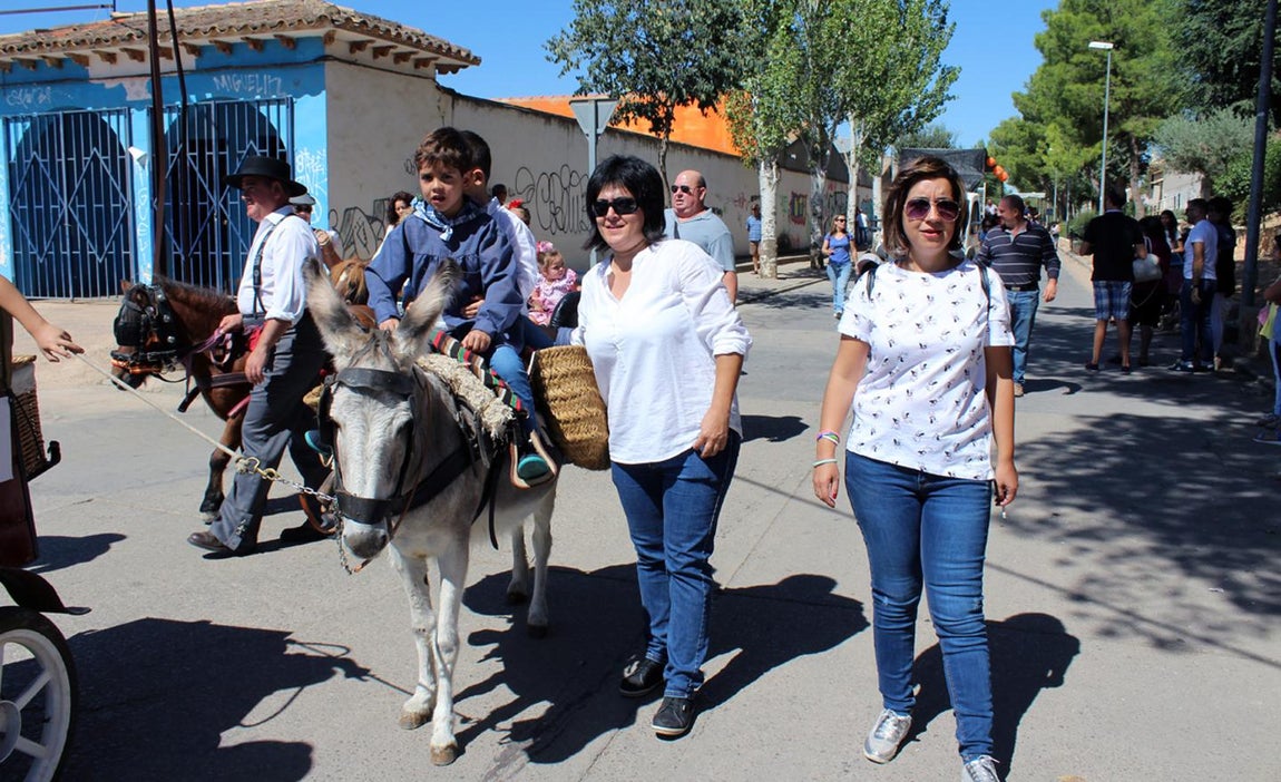 El «Día de Carros», en imágenes