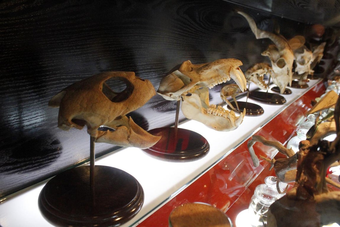 La muestra sobre brujería en Toledo, en imágenes