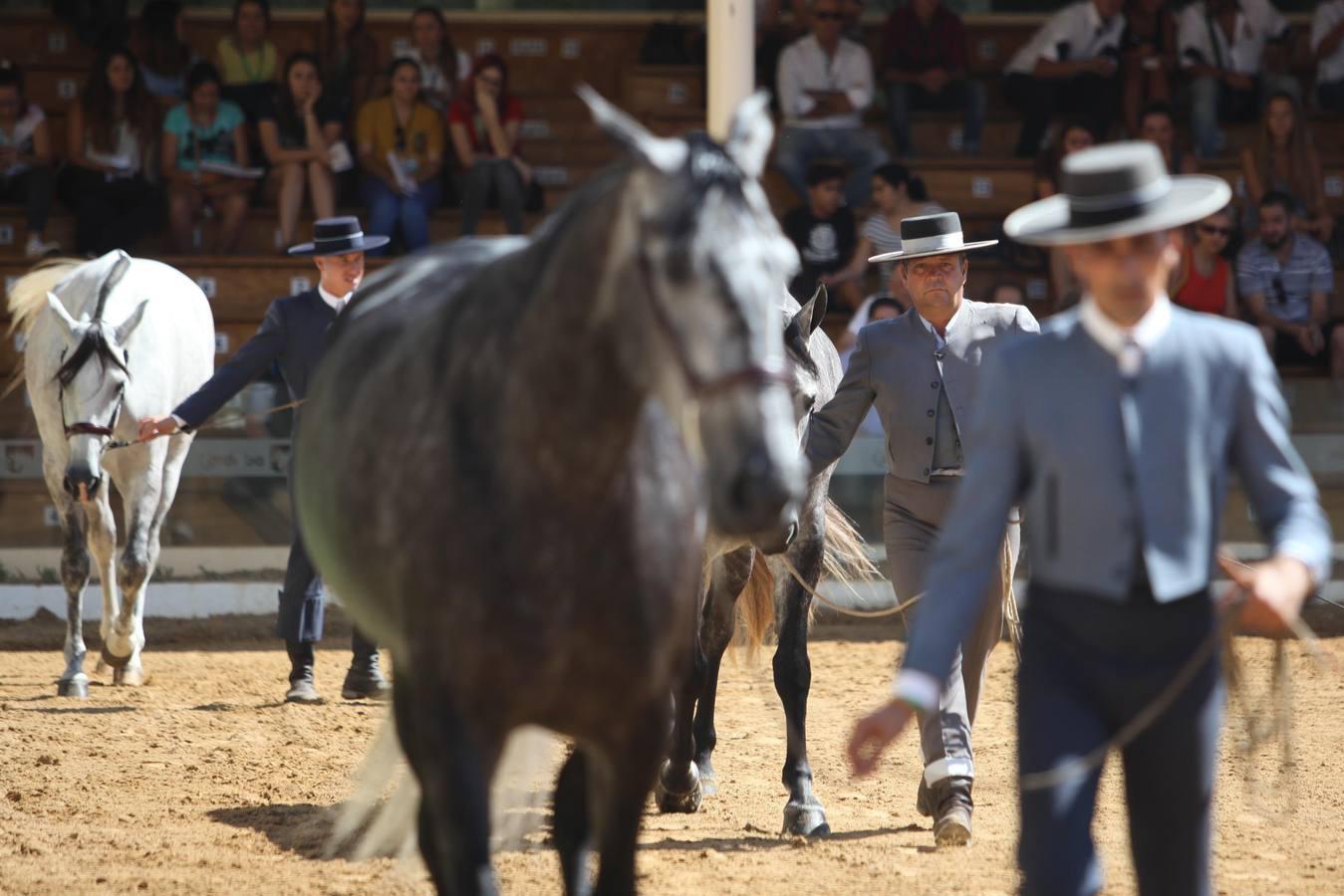 Las mejores imágenes de la jornada inaugural de Cabalcor