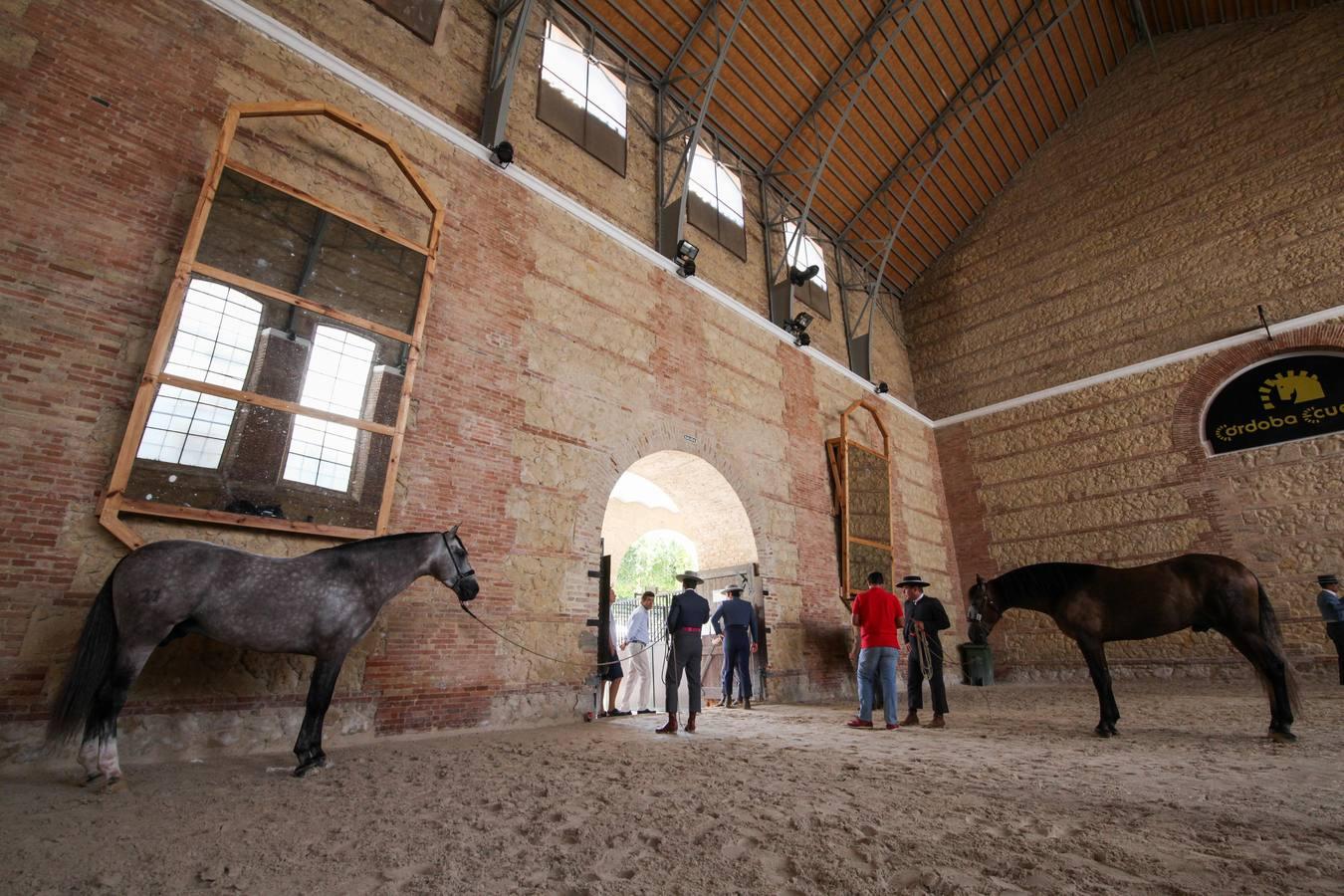 Las mejores imágenes de la jornada inaugural de Cabalcor