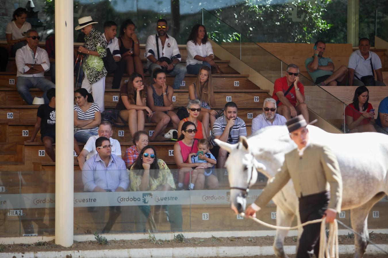 Las mejores imágenes de la jornada inaugural de Cabalcor