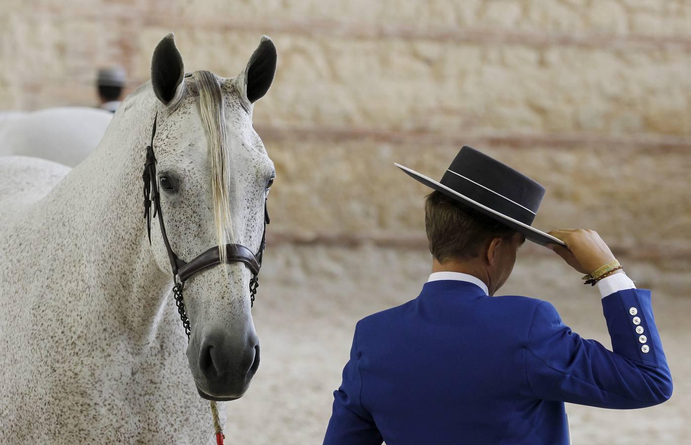 Los atalajes se lucen en Cabalcor