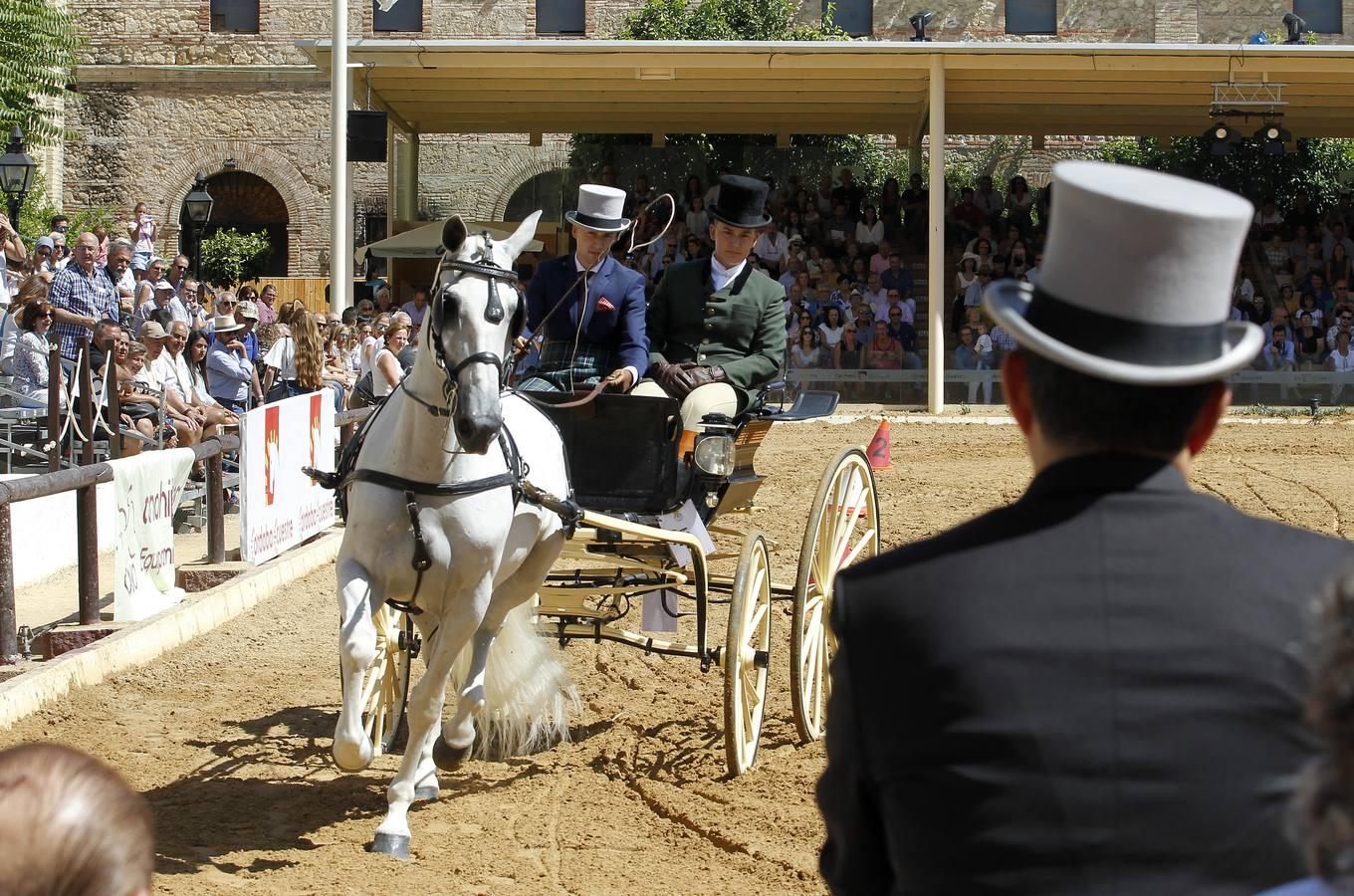 Los atalajes se lucen en Cabalcor