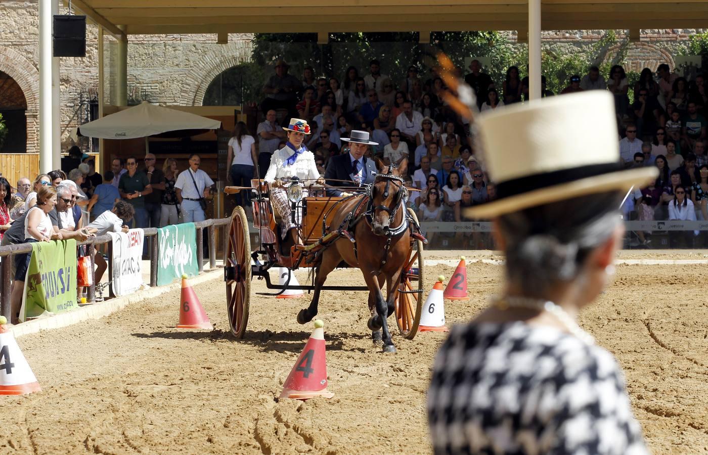 Los atalajes se lucen en Cabalcor