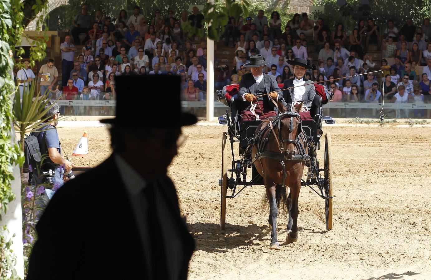 Los atalajes se lucen en Cabalcor