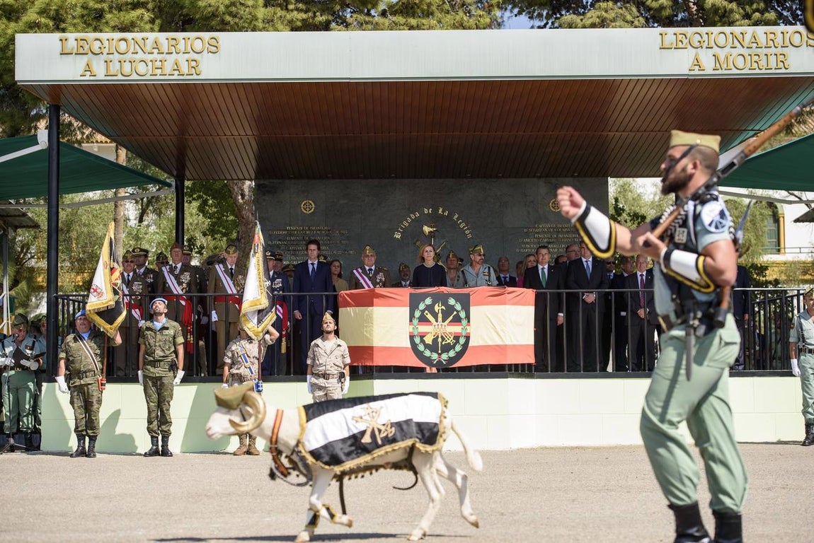 XCVII aniversario de la fundación de La Legión, en imágenes