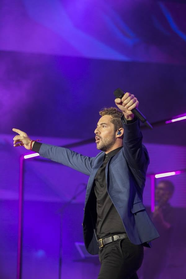 Crónica gráfica del concierto de David Bisbal en el Estadio de la Cartuja