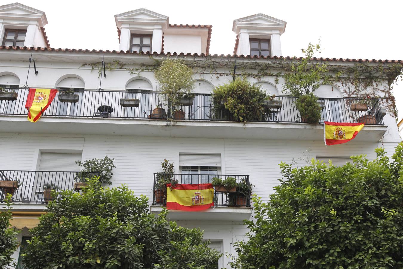 Le rompen los ventanales de su casa en el Centro de Sevilla por «tener colgadas banderas de España»
