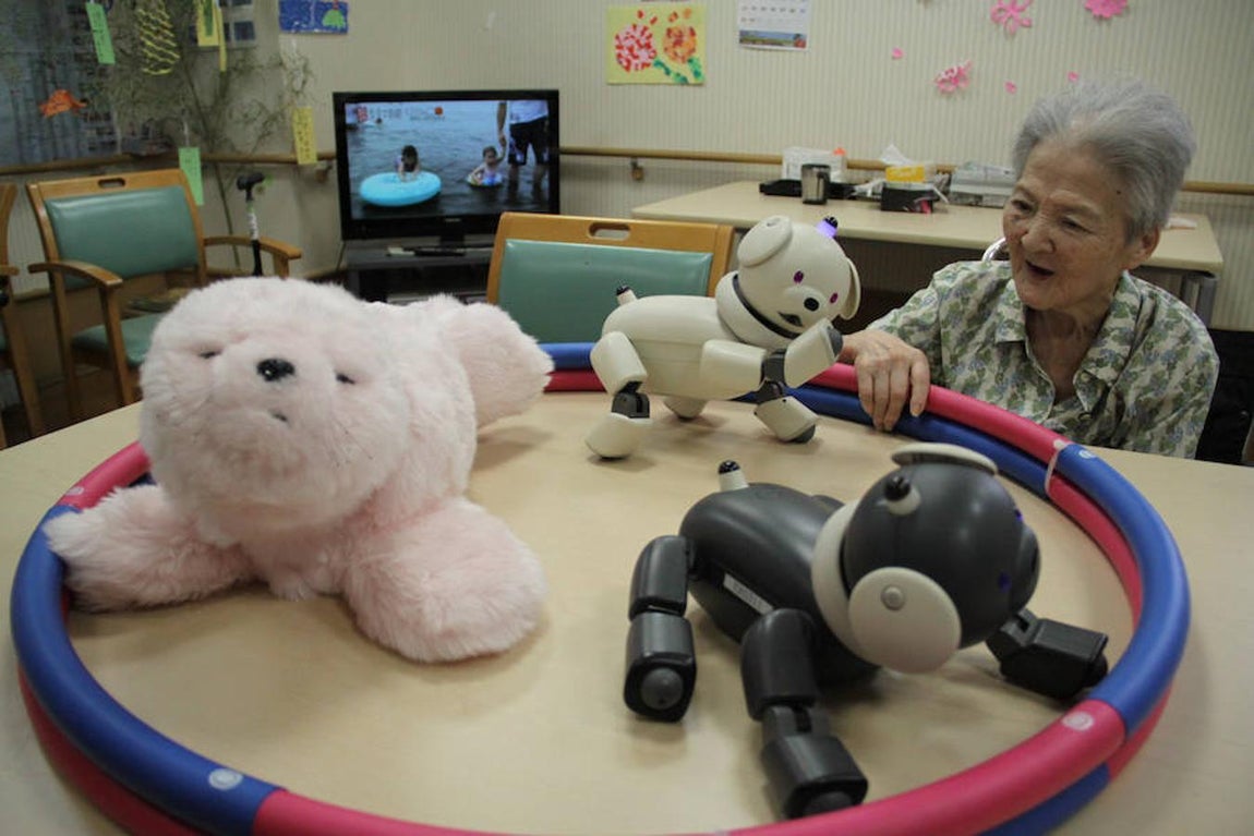 Los perros electrónicos Aibo y la foca Paro tienen fines terapéuticos porque dan compañía a los ancianos. 
