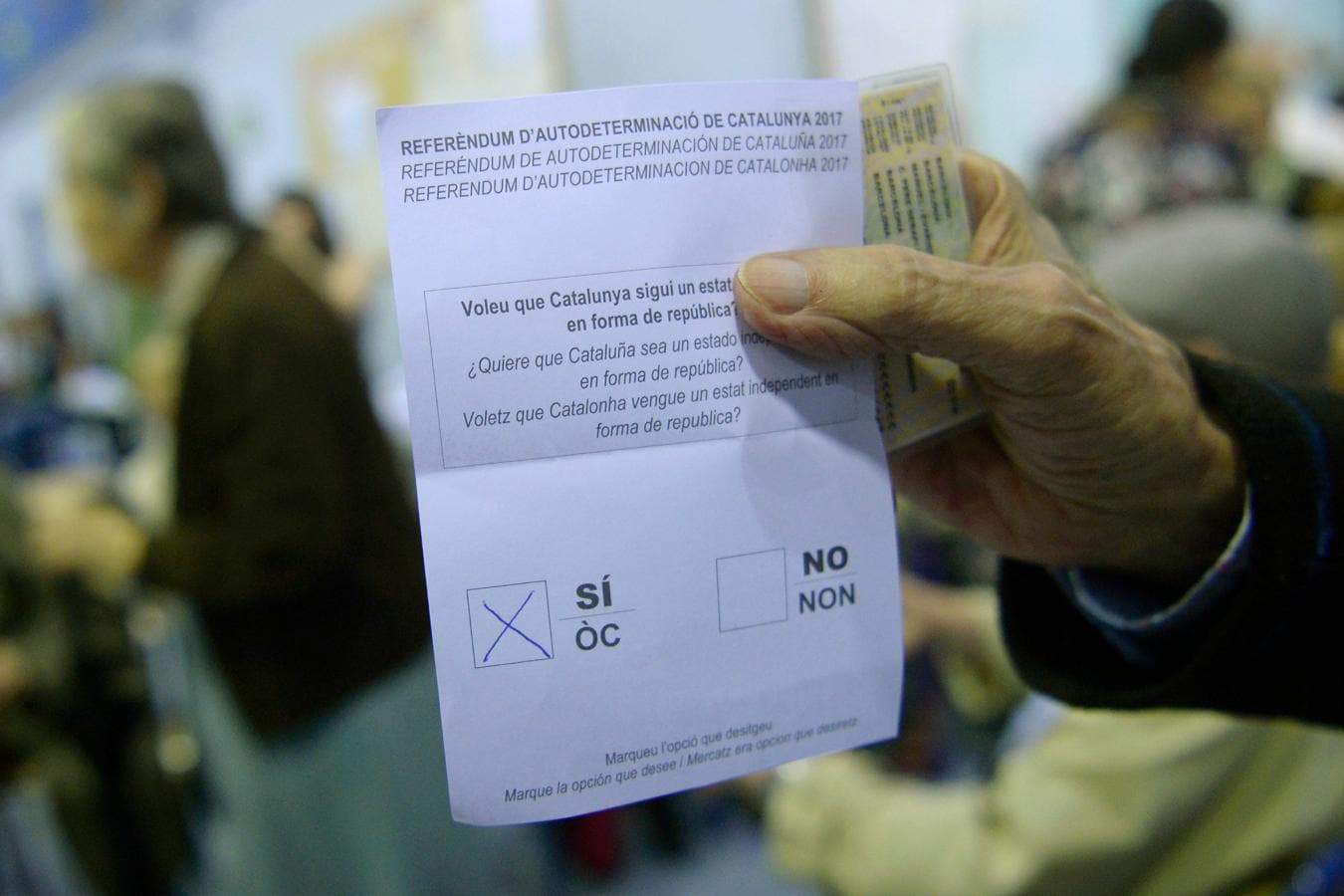 Así es la papeleta que están depositando los votantes en los colegios de Cataluña. 