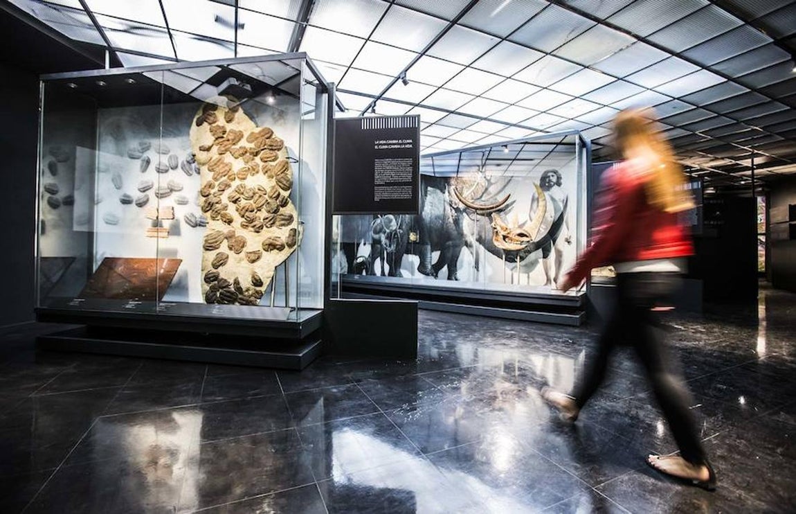 4.. Una importante exposición sobre el cambio climático ocupa la Sala de Astrónomos