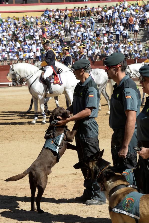 Exhibición de la Guardia Civil en la plaza de toros de Toledo