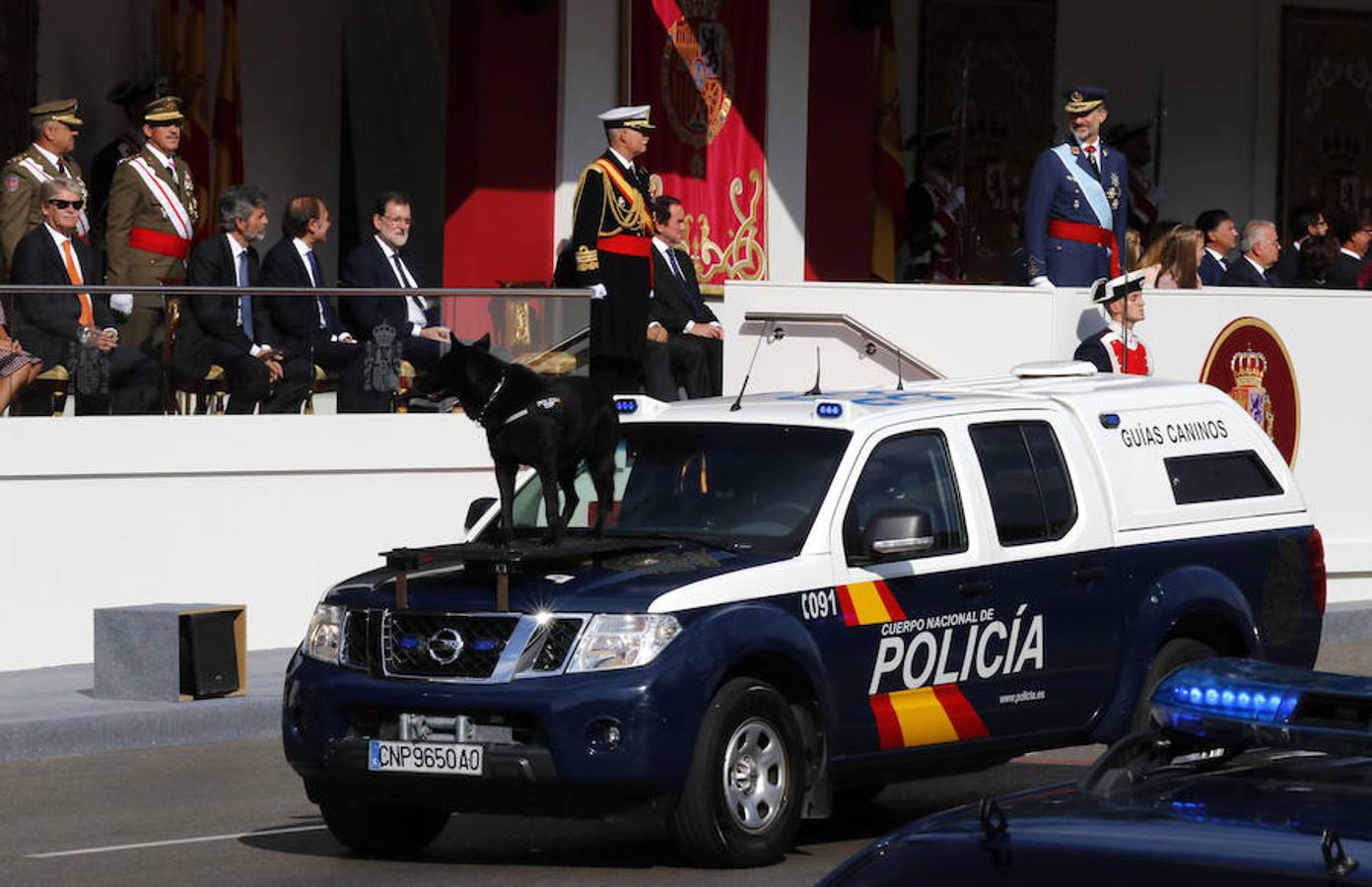 Miembros de la Unidad de Guías Caninos de la Policía Nacional (EFE). 