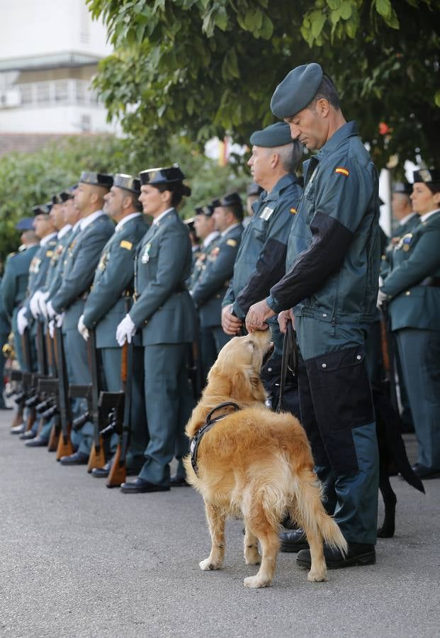 El desfile de la Guardia Civil de Córdoba, en imágenes
