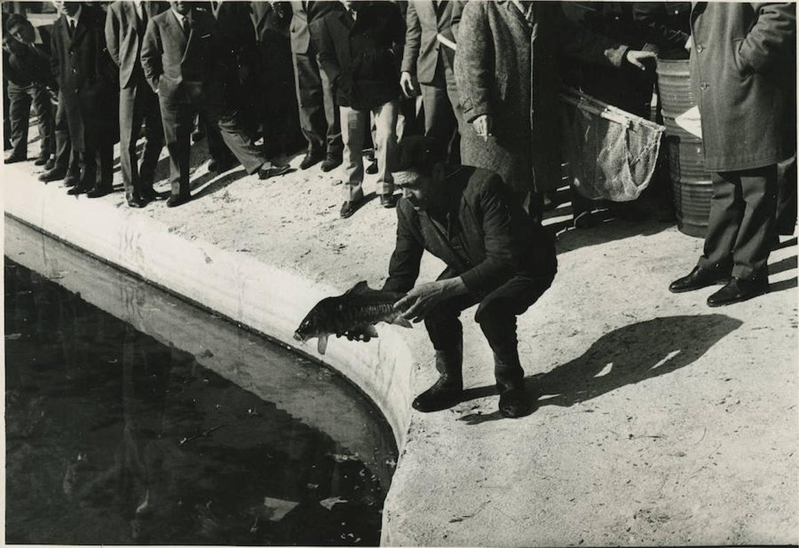 12. Repoblación piscícola anterior al vaciado del lago de la Casa de Campo en 1966