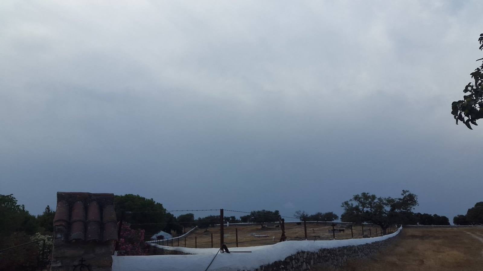 Así han vivido los lectores de ABC la llegada del otoño... (y la lluvia)