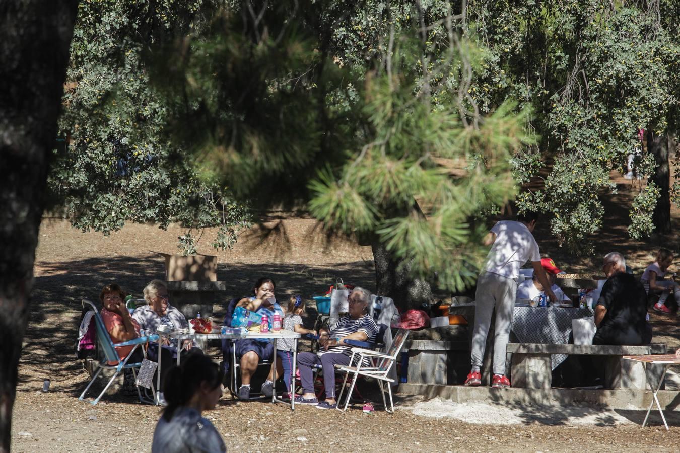 Disfruta de las mejores imágenes del día de San Rafael