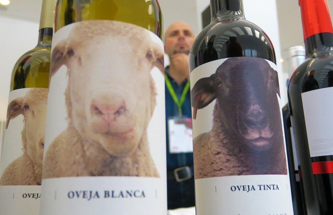 En imágenes: la Primera edición de la Experiencia Verema Alicante. 